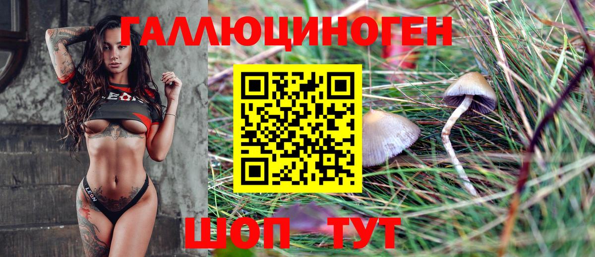 Абинск  цены наркотик  Вход с VPN  Псилоцибиновые грибы Cubensis 